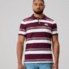 CANTERBURRY - MENS FUNDAMENTALS ENGINEERED STRIPE POLO FIG